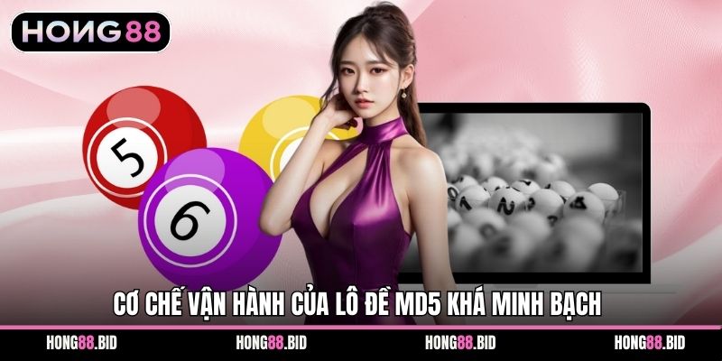 Lô Đề Siêu Tốc MD5 Tại Hong88 - Hướng Dẫn Tham Gia Đánh Số - SI66.WEBSITE Lô Đề Siêu Tốc MD5 Tại Hong88 - Hướng Dẫn Tham Gia Đánh Số - SI66.WEBSITE