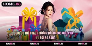 Khuyến Mãi Hấp Dẫn Giúp Tối Ưu Giá Trị Cá Cược Lâu Dài - SI66.WEBSITE