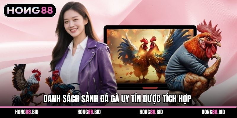 Đá Gà Hong88 Nền Tảng Giải Trí Trực Tuyến Hấp Dẫn Ổn Định - SI66.WEBSITE
