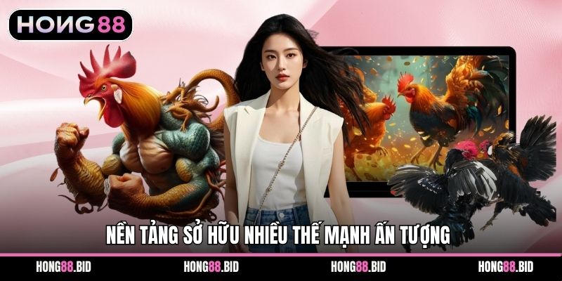 Đá Gà Hong88 Nền Tảng Giải Trí Trực Tuyến Hấp Dẫn Ổn Định - SI66.WEBSITE