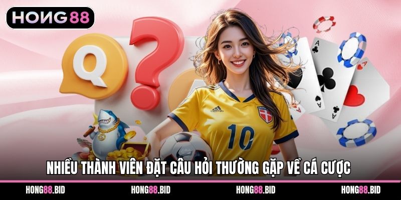 Câu Hỏi Thường Gặp Khi Tham Gia Cá Cược Tại Hong88 - SI66.WEBSITE Câu Hỏi Thường Gặp Khi Tham Gia Cá Cược Tại Hong88 - SI66.WEBSITE