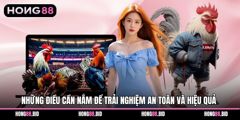 Đá Gà Hong88 Nền Tảng Giải Trí Trực Tuyến Hấp Dẫn Ổn Định - SI66.WEBSITE